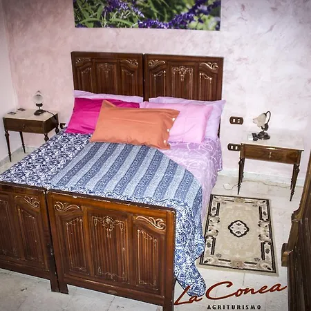 Agriturismo La Conea Farm stay