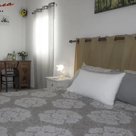 Farm stay Agriturismo La Conea