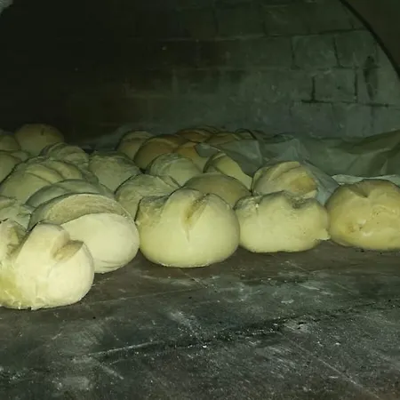 مزرعة للإقامة Agriturismo La Conea بوتينيانو