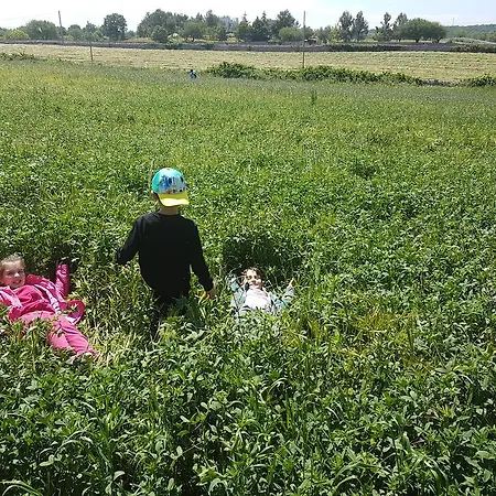 مزرعة للإقامة Agriturismo La Conea بوتينيانو