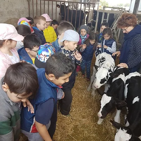 Agriturismo La Conea مزرعة للإقامة بوتينيانو
